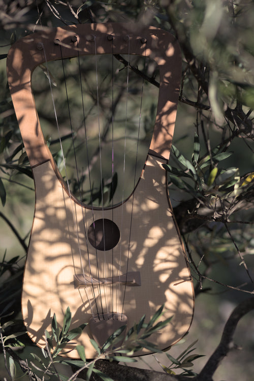Lyre
