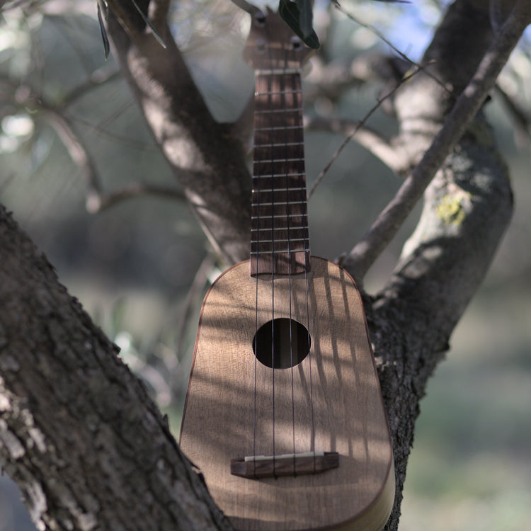 Ukulele ananas