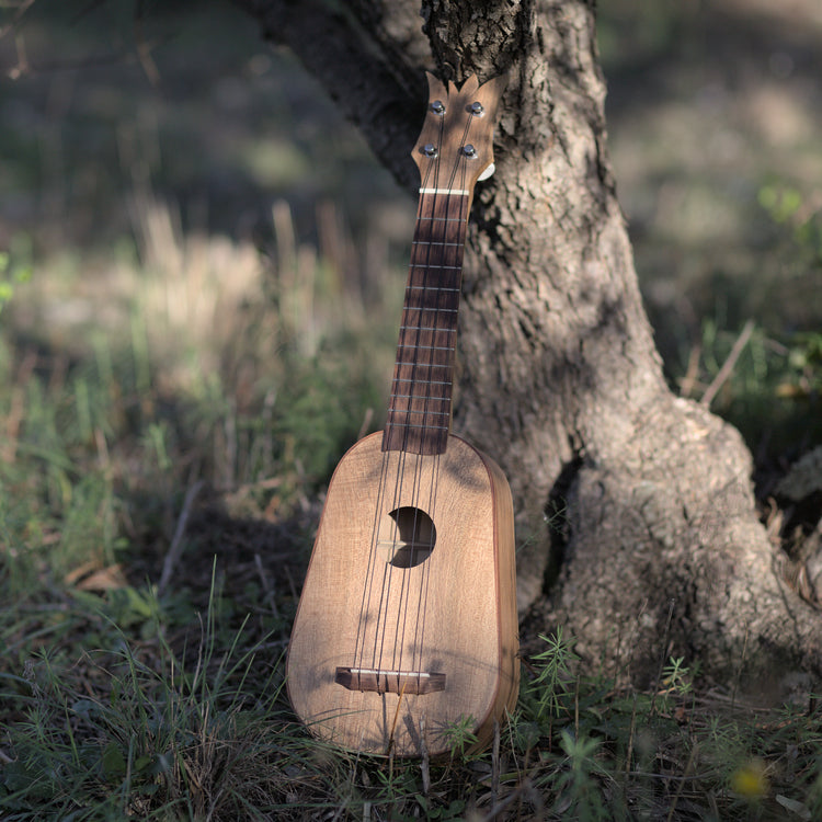 Ukulele ananas