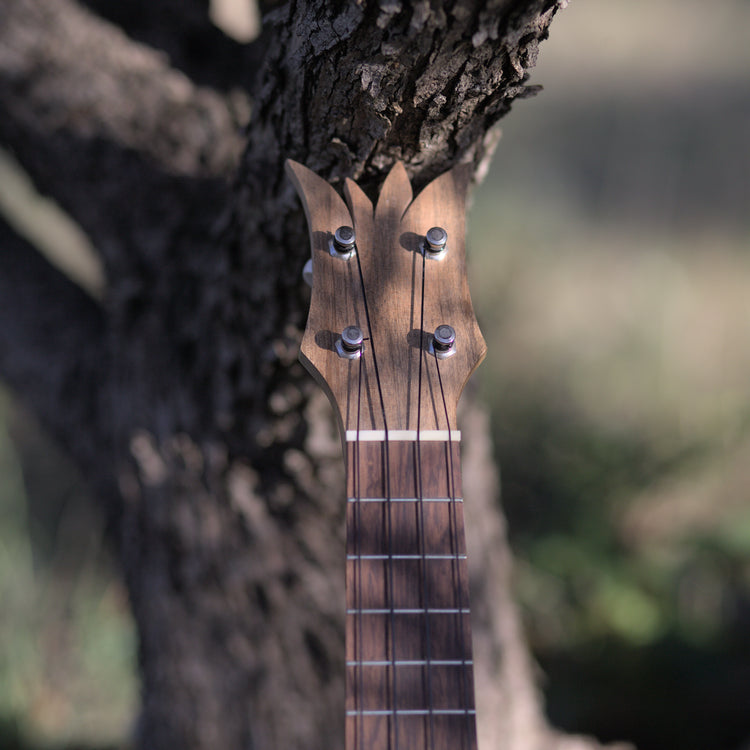 Ukulele ananas